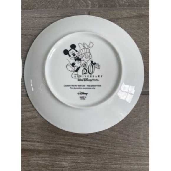 vintage Disney World collectible plates, lot of 2, 30th Anniversary, Cinderella - Picture 6 of 6
